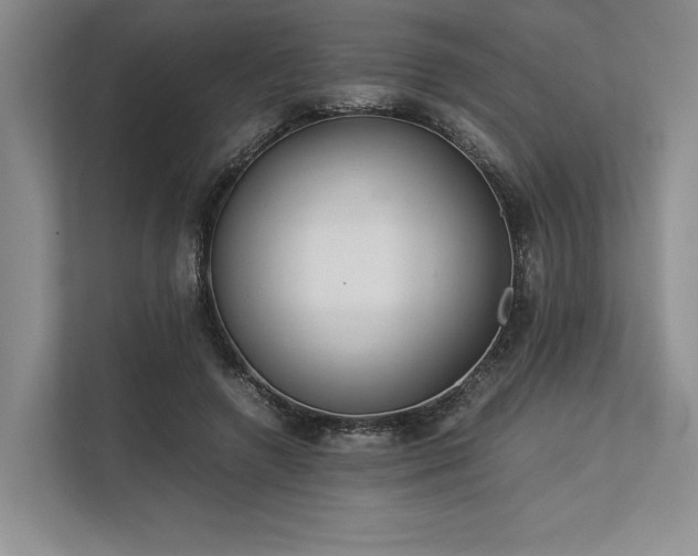 X0000113350546200909221146
