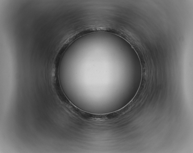 X0000113350548200909221146