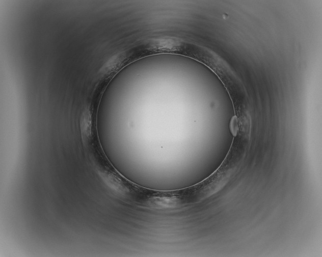 X0000113350552200909221146