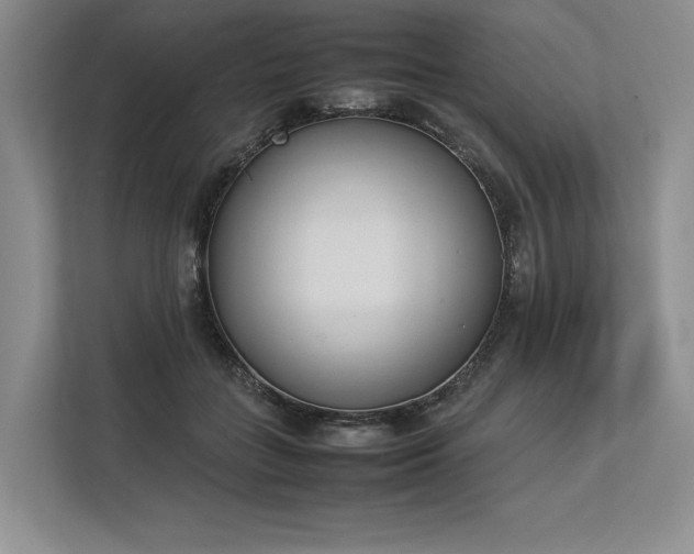 X0000113350555200909221146