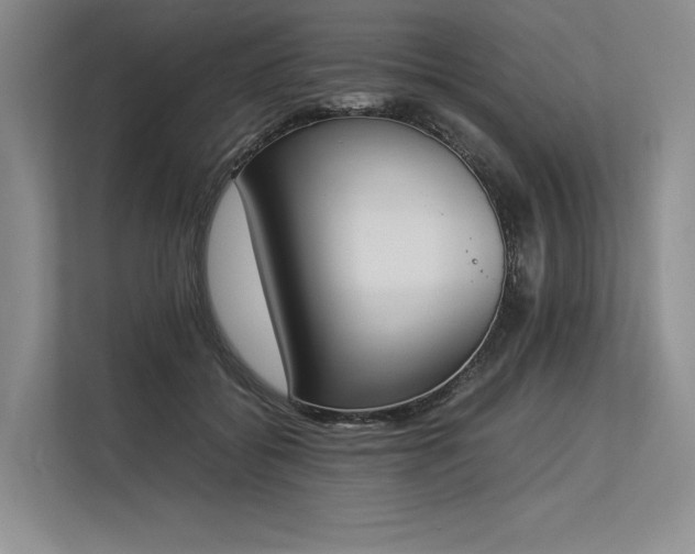 X0000113350556200909221146