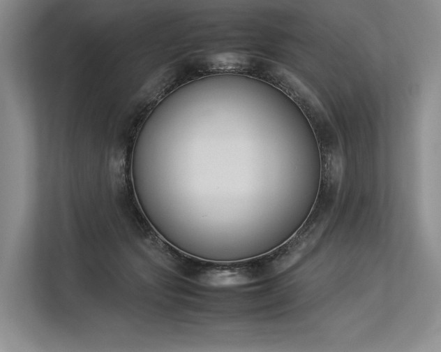 X0000113350557200909221146