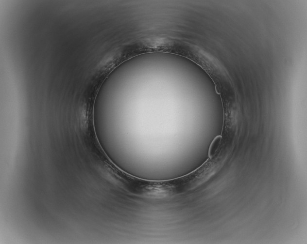 X0000113350558200909221146