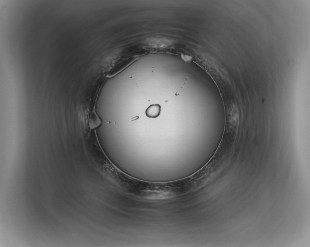 X0000113350559200909221146