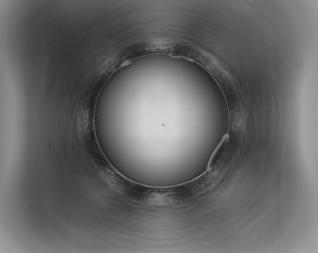 X0000113350560200909221146