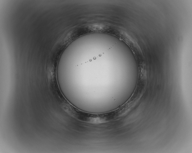 X0000113350561200909221146
