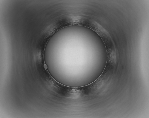 X0000113350562200909221146