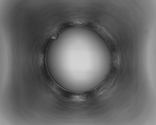 X0000113350563200909221146