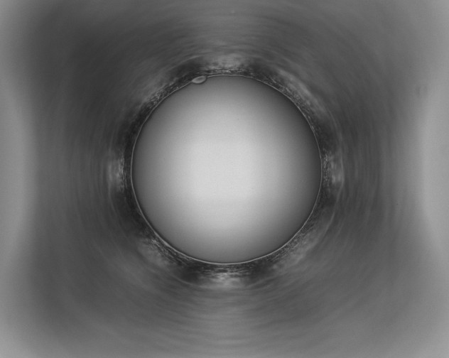 X0000113350564200909221146