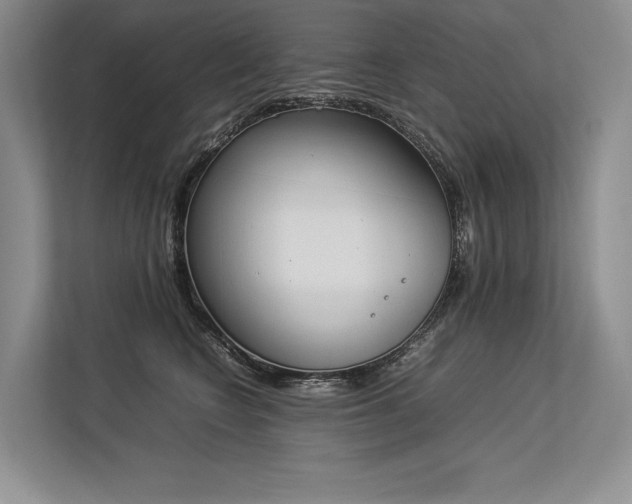 X0000113350566200909221146