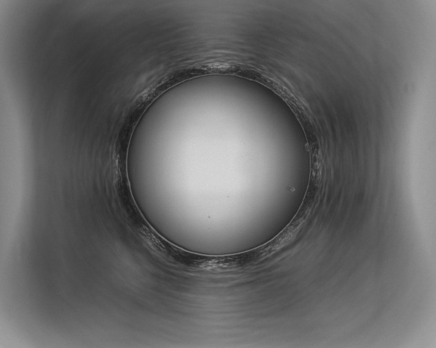 X0000113350568200909221146