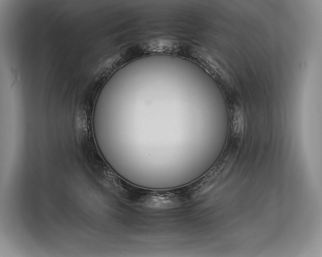 X0000113350569200909221146