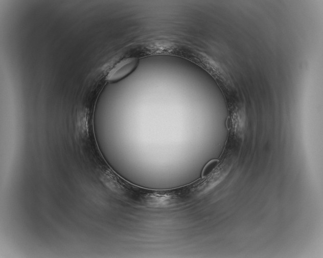 X0000113350570200909221146