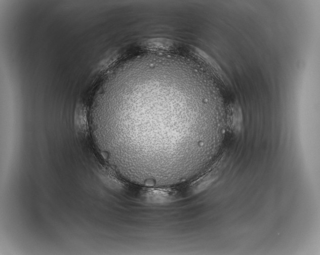 X0000113350573200909221146
