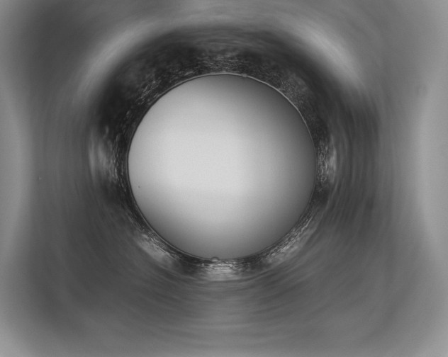 X0000113350574200909221146