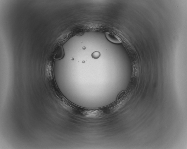 X0000113350575200909221146