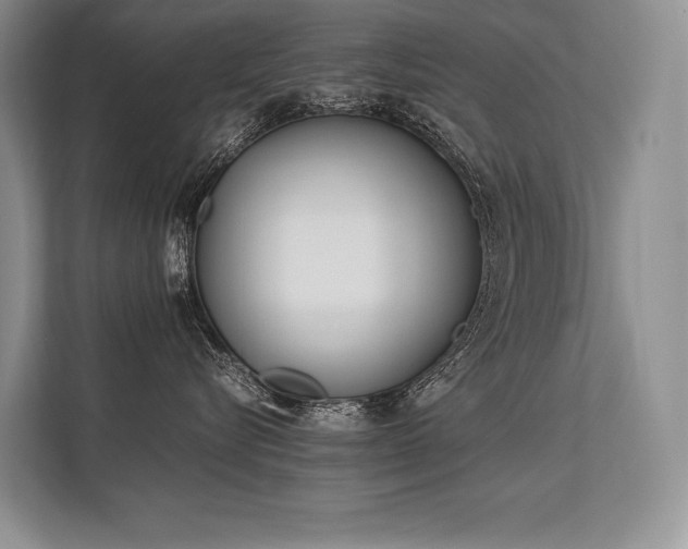 X0000113350576200909221146