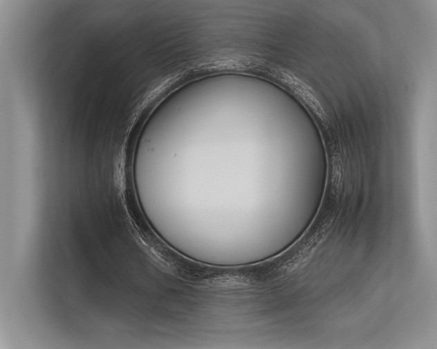 X0000113350578200909221146