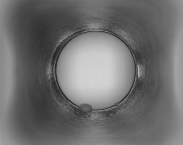 X0000113350579200909221146
