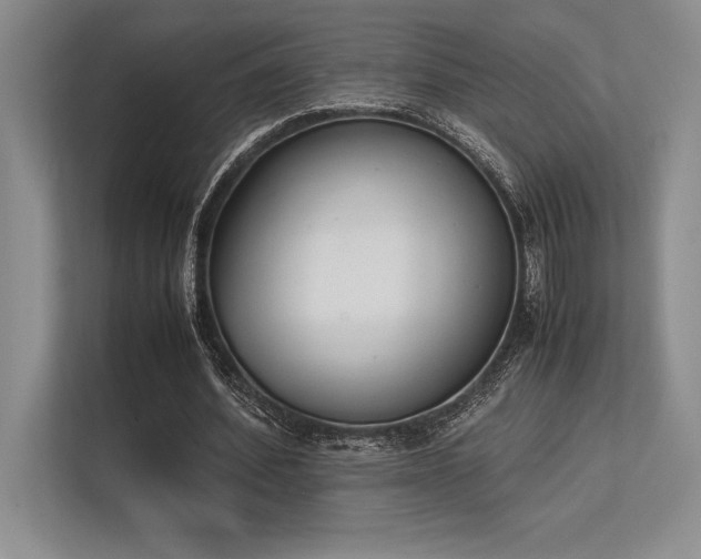 X0000113350580200909221146