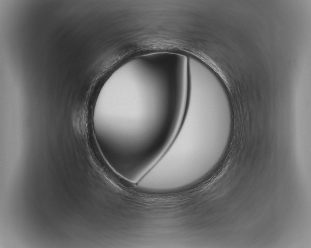 X0000113350581200909221145
