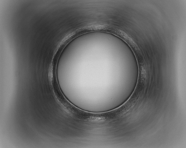 X0000113350582200909221145