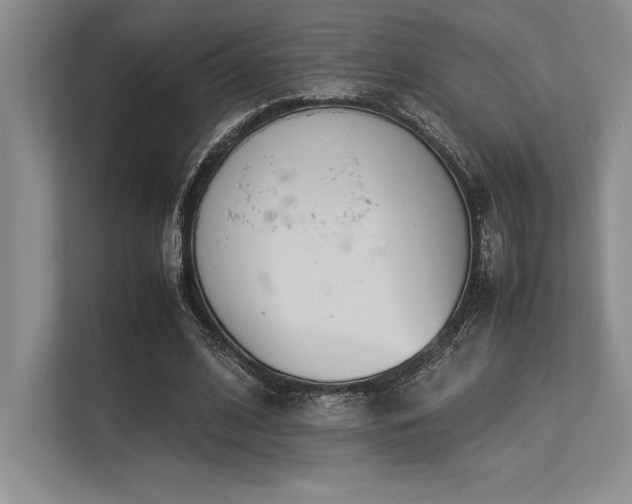 X0000113350584200909221145