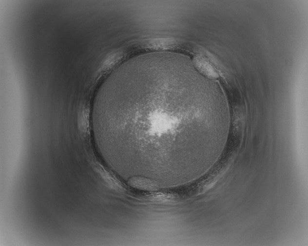 X0000113350585200909221145