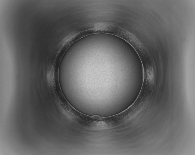 X0000113350588200909221145