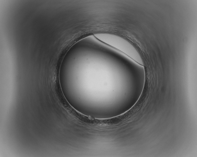 X0000113350593200909221145