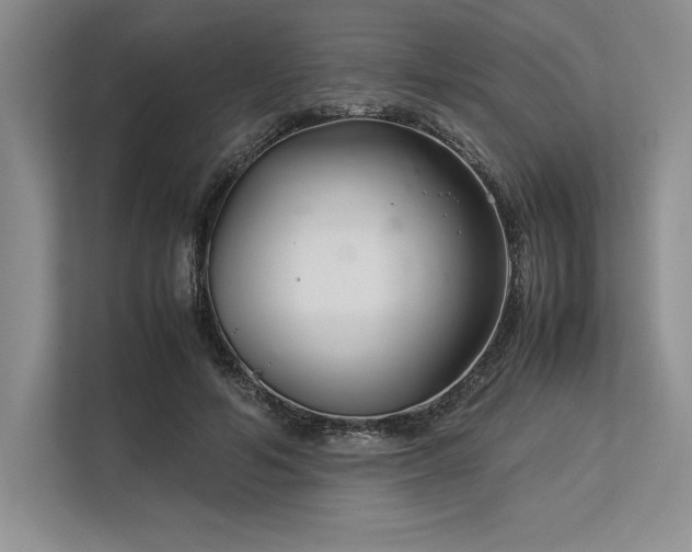 X0000113350594200909221145