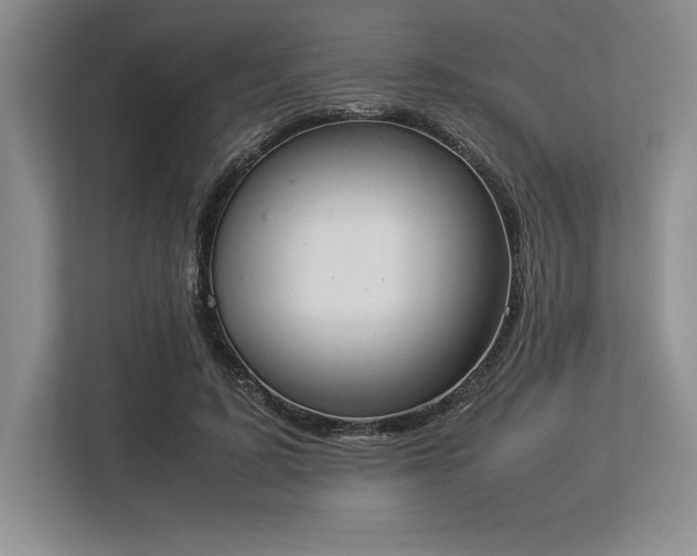 X0000113350595200909221145