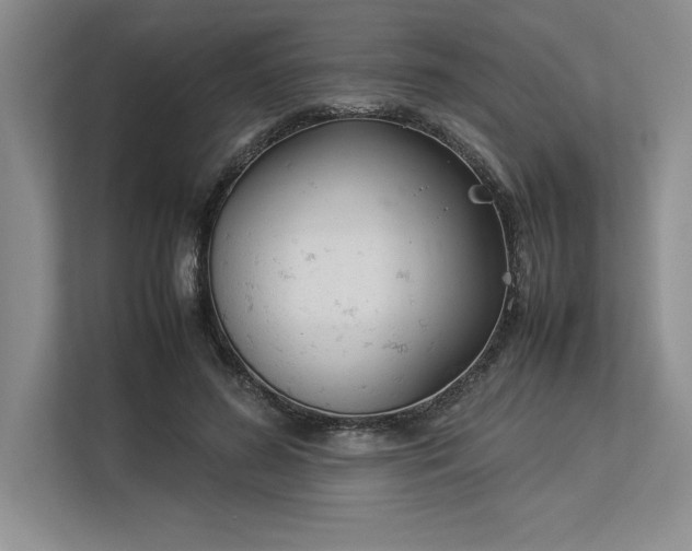 X0000113350596200909221145