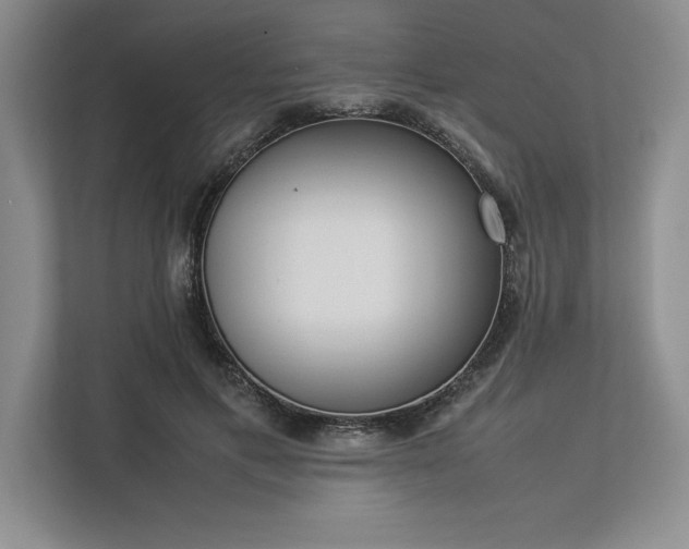 X0000113350597200909221145