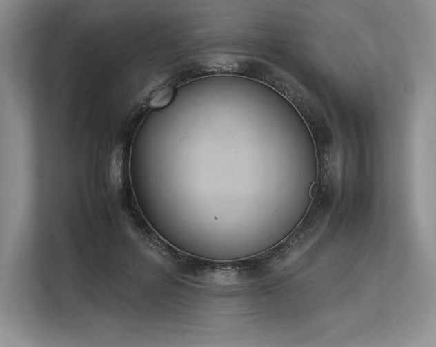 X0000113350600200909221145