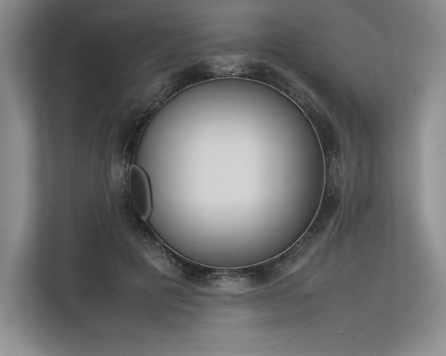 X0000113350601200909221145