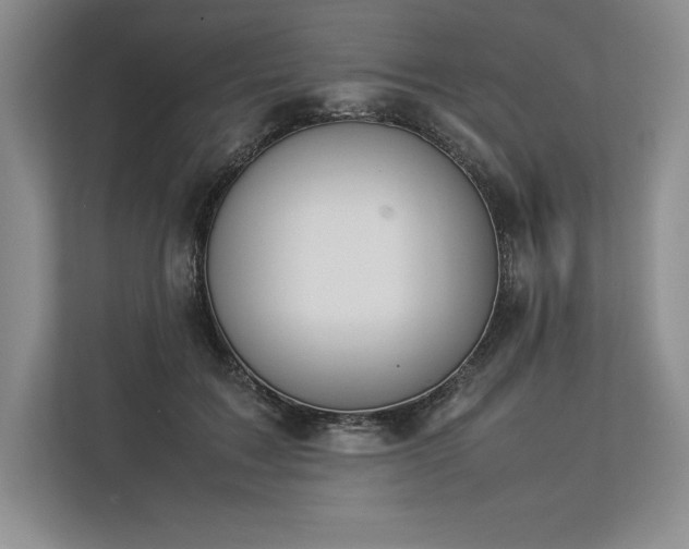 X0000113350603200909221145