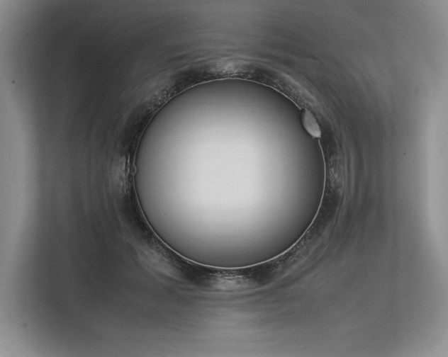 X0000113350605200909221145