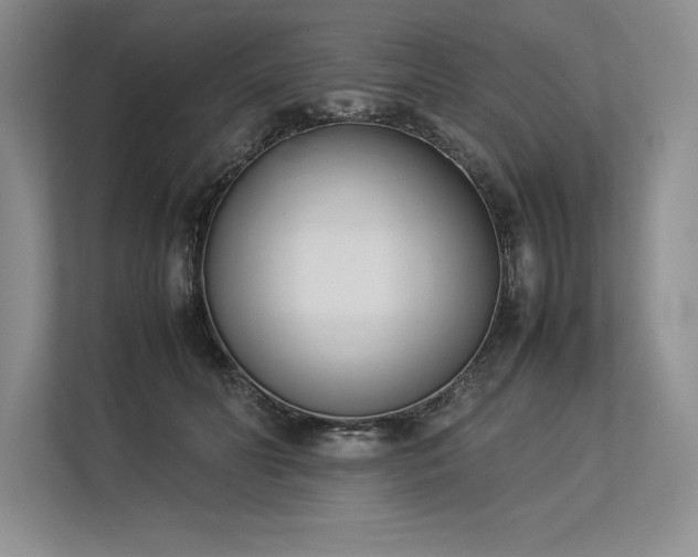 X0000113350606200909221145