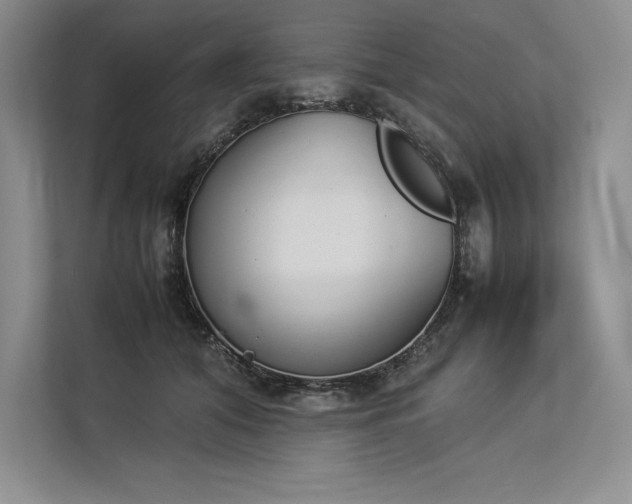X0000113350608200909221145