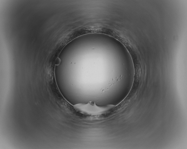 X0000113350609200909221145