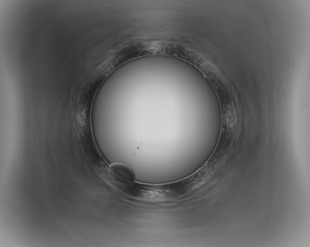X0000113350611200909221145