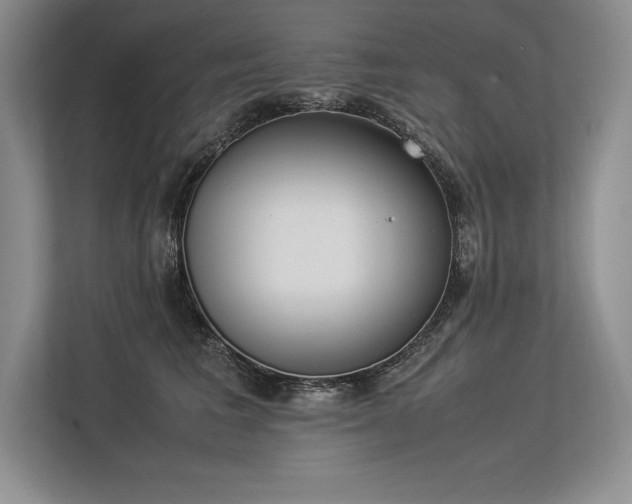X0000113350613200909221145