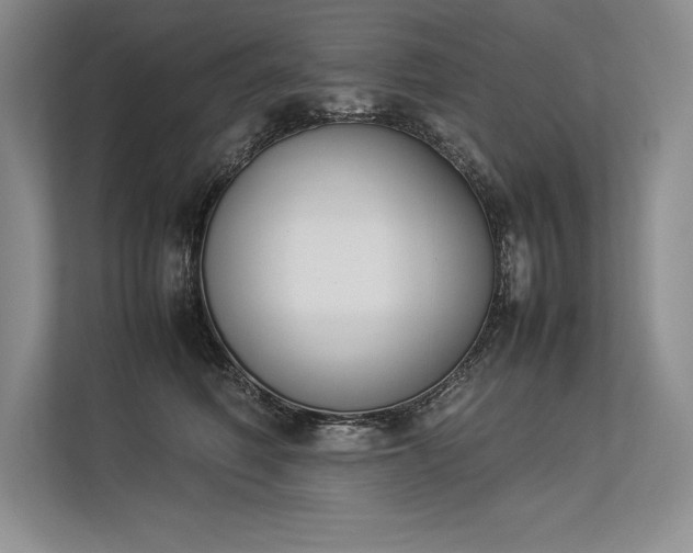 X0000113350614200909221145
