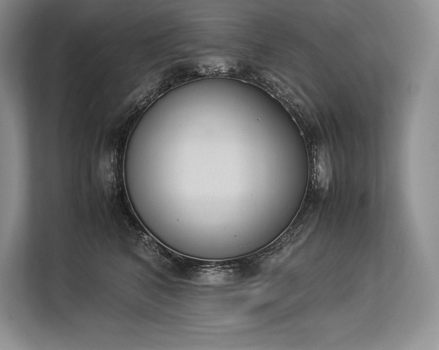 X0000113350616200909221145