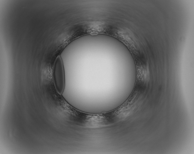 X0000113350621200909221145