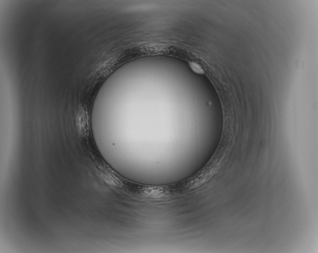 X0000113350624200909221145
