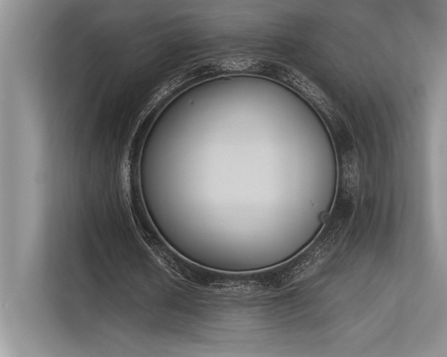 X0000113350626200909221144