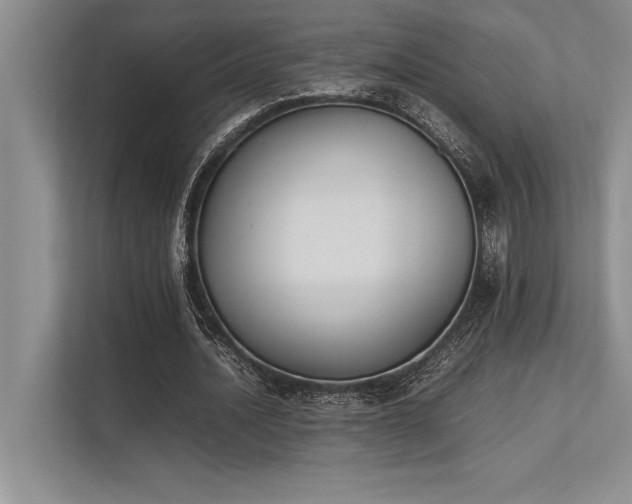X0000113350628200909221144