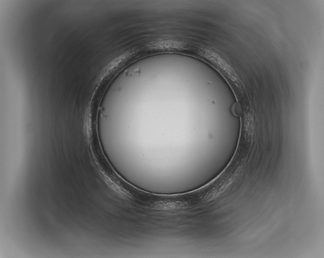X0000113350629200909221144
